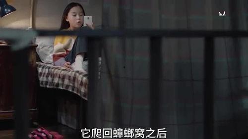 失踪孩子神秘人爆料视频,神秘人视频揭秘失踪孩子案件背后惊人真相  第1张